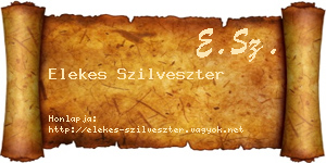 Elekes Szilveszter névjegykártya